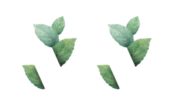 comifyagro.com