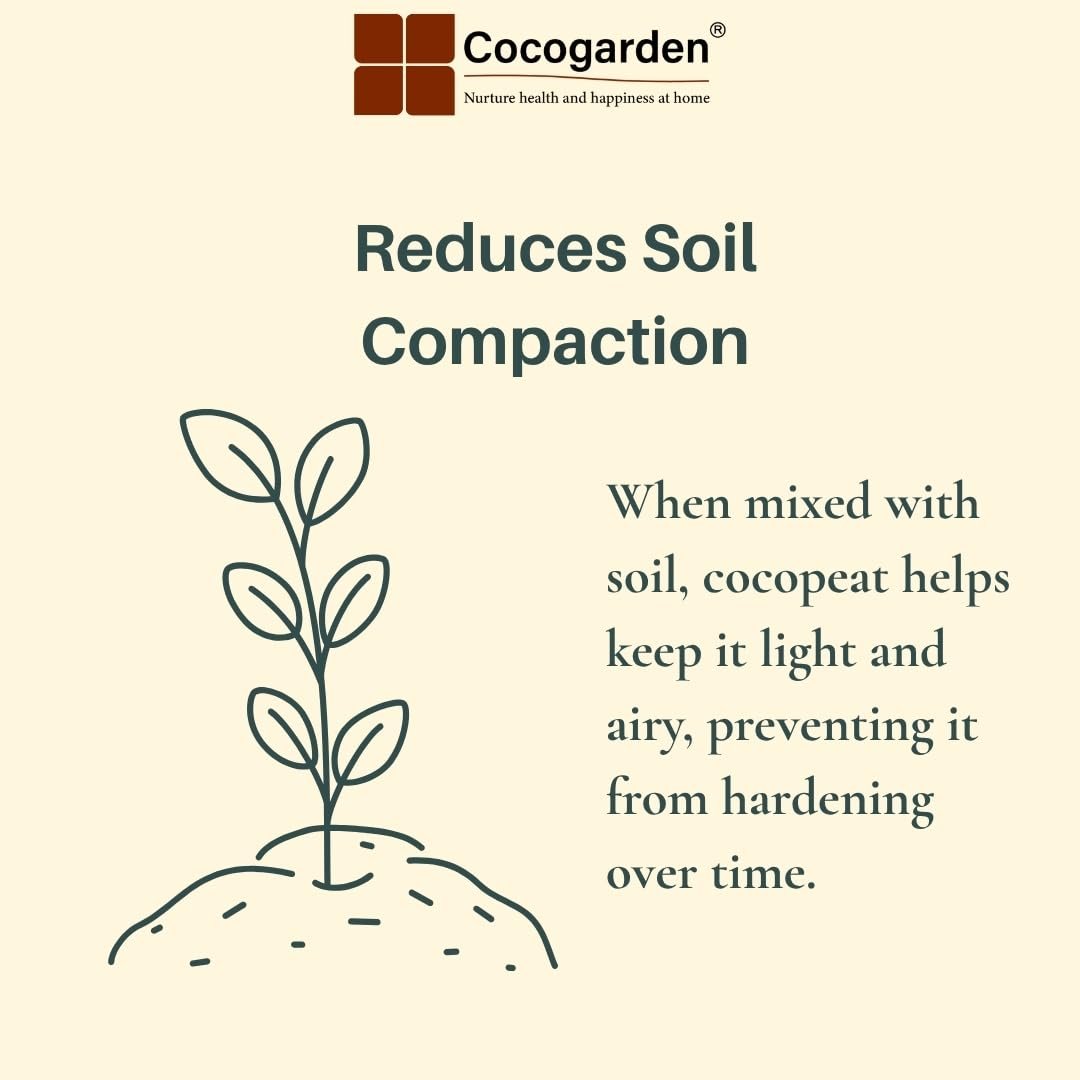 Cocogarden Cocopeat Block for Plants 5kg - Organic Coco Peat Brick, Expands up to 75 ltrs of Powder, Natural Garden Soil for Potting Mixture Home Terrace Gardening and Potted Plants - Image 6