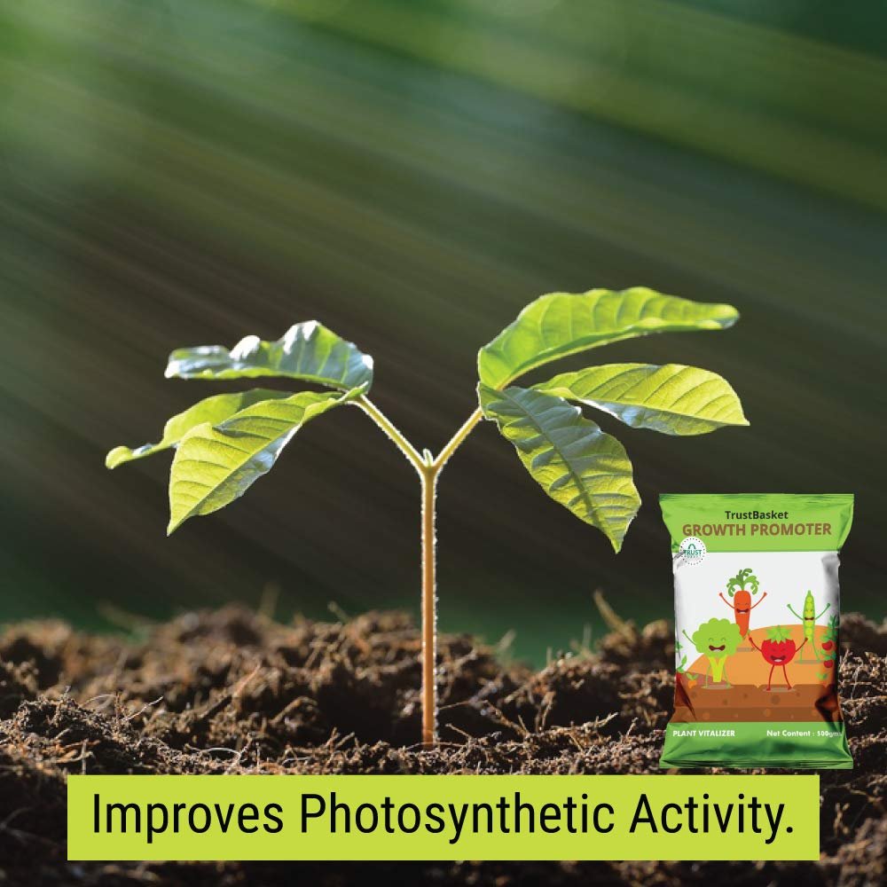 TrustBasket Plant growth promoter for gardening (Set of 1) 500 grams | Enhances growth and development of plants | useful for Indoor and outdoor plants | Contains essential Macro and Micro Nutrients - Image 3