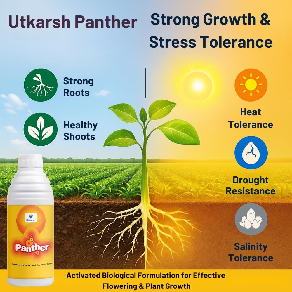 Panther (Activated Biological Formulation for Effective Flowering & Plant Growth), Biostimulant (5 Liter; Pack of 1) - Image 3