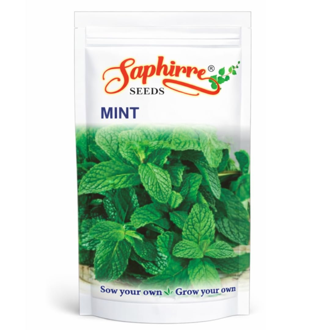 Saphirre Seeds Mint (Pudina) Seeds | 100+ Seeds | High Germination | Easy to Grow Herb Seeds for Home Gardening | Ideal for Pots, Balcony, Terrace, Kitchen Garden & Grow Bags