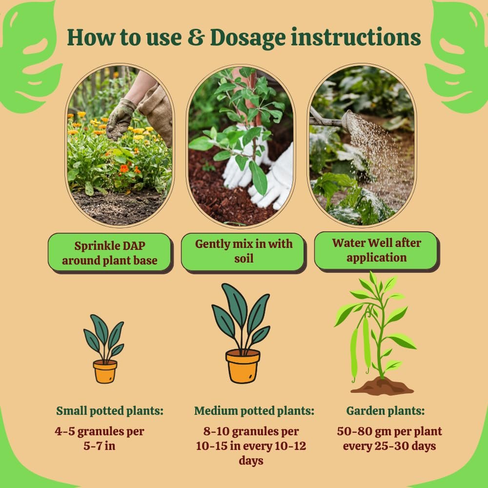 Utkarsh Organic DAP Fertilizer for Plants, Home & Garden - 900 gm Granules, 100% Water Soluble, Bio DAP Fertilizers & Manure for Plants Growth | Improves Flowering, Fruiting & Vegetables; Pack of 1 - Image 6