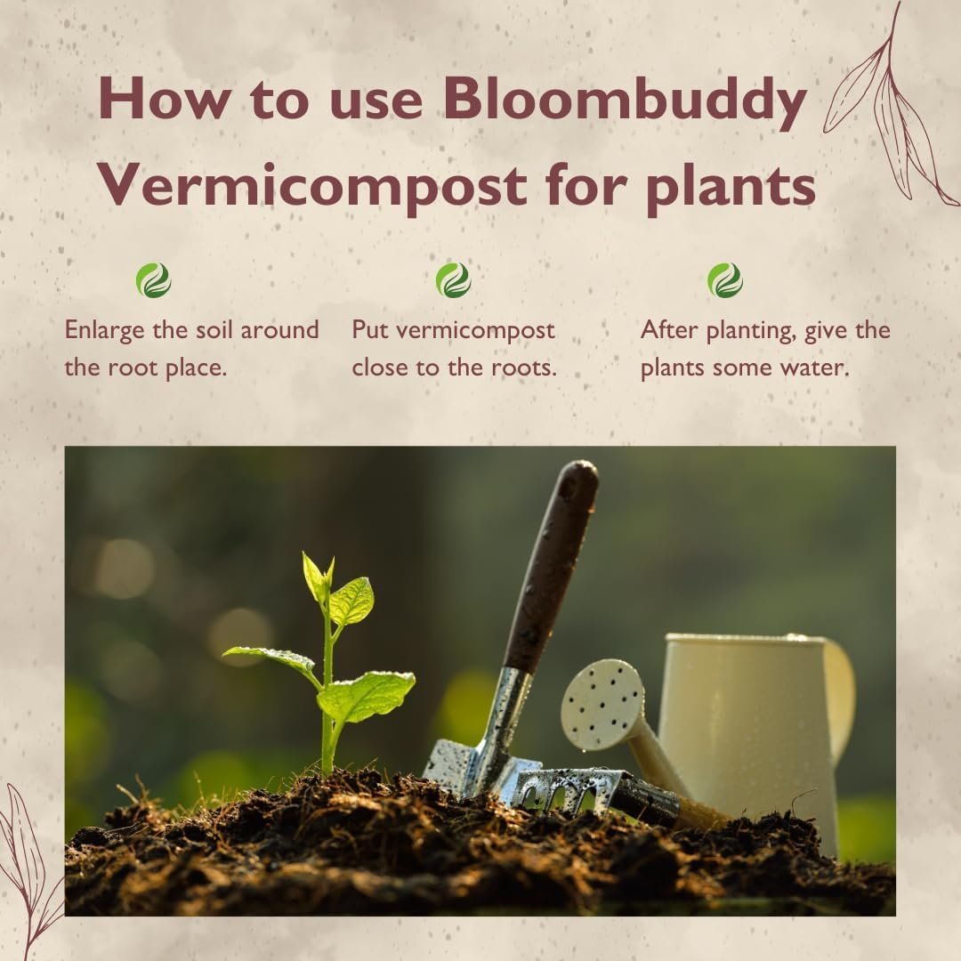 BLOOMBUDDY Organic Vermicompost – 5 kg | Plant Fertilizer & Compost for Plants | Natural Manure for Home Gardening | Vermi Compost for Plants, Indoor Pots & Home Garden Use - Image 3