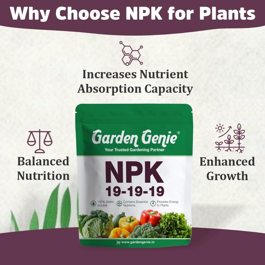 Garden Genie NPK 19 19 19 Fertilizer For Plants 800 Gm, Powder - Image 3