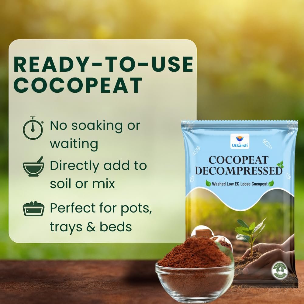 Decompressed Cocopeat Powder – 5 Kg, Ready-to-Use Kerala's Coconut Husk Fibre for Home Garden & Potted Plants, Coconut Coir for Potting Soil Mix, 100% Natural Soil Conditioner, High Water Retention - Image 2
