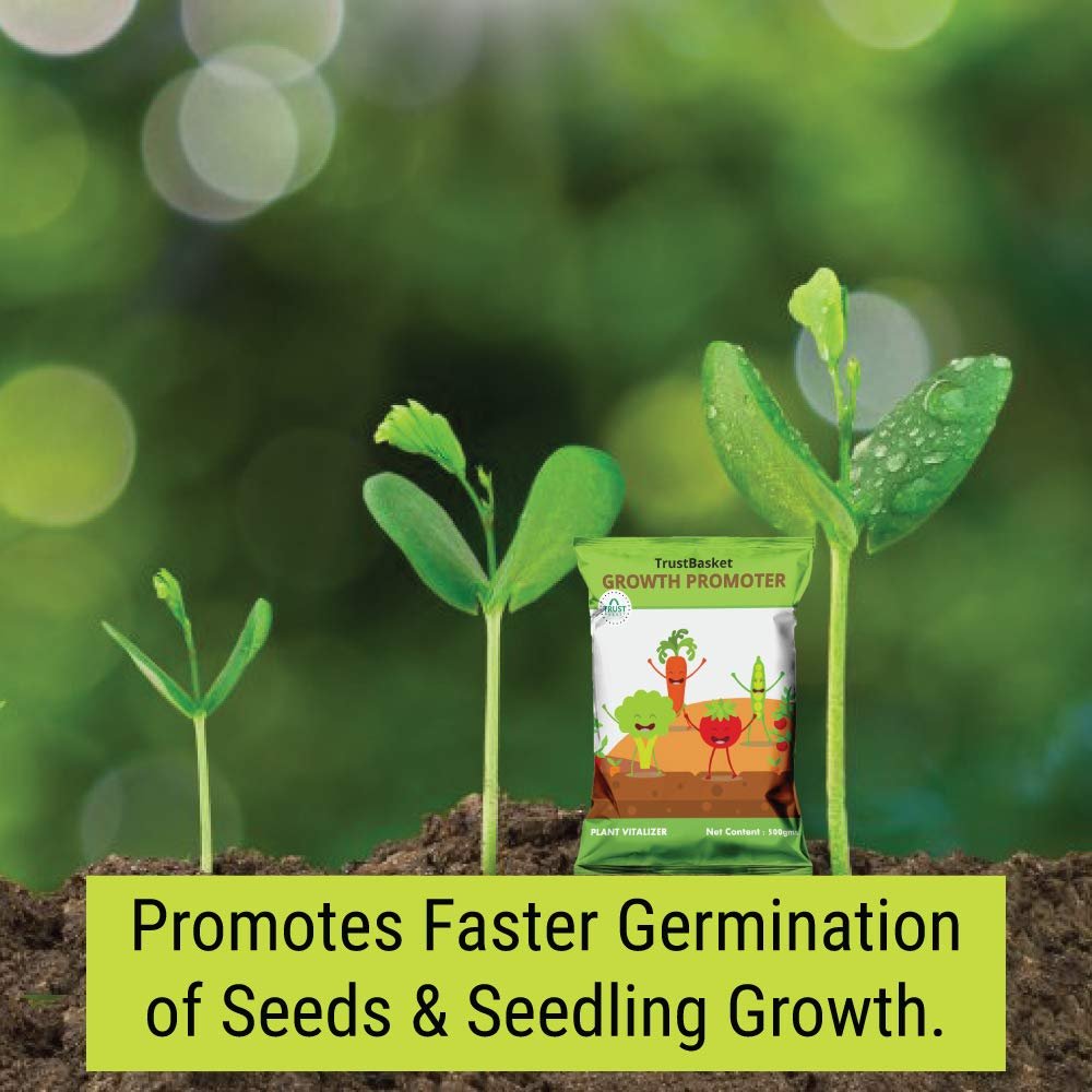 TrustBasket Plant growth promoter for gardening (Set of 1) 500 grams | Enhances growth and development of plants | useful for Indoor and outdoor plants | Contains essential Macro and Micro Nutrients - Image 2