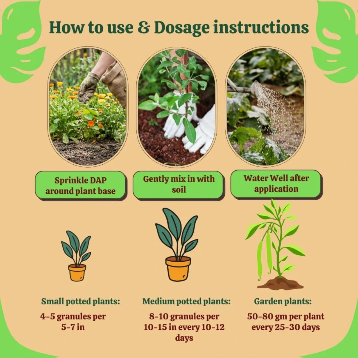 Ugaodhara Organic DAP Fertilizer, Water Soluble Soil Conditioner for Gardening, 1 kg - Image 4