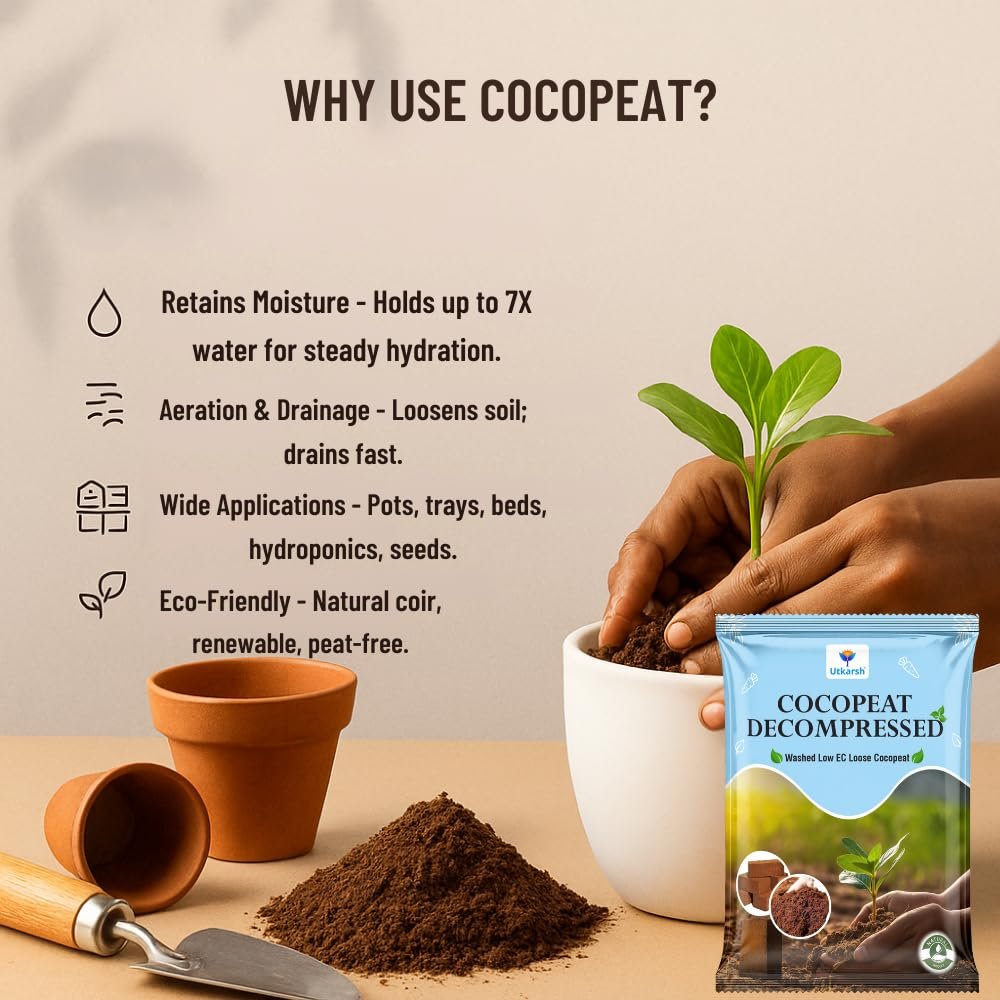 Decompressed Cocopeat Powder – 5 Kg, Ready-to-Use Kerala's Coconut Husk Fibre for Home Garden & Potted Plants, Coconut Coir for Potting Soil Mix, 100% Natural Soil Conditioner, High Water Retention - Image 4