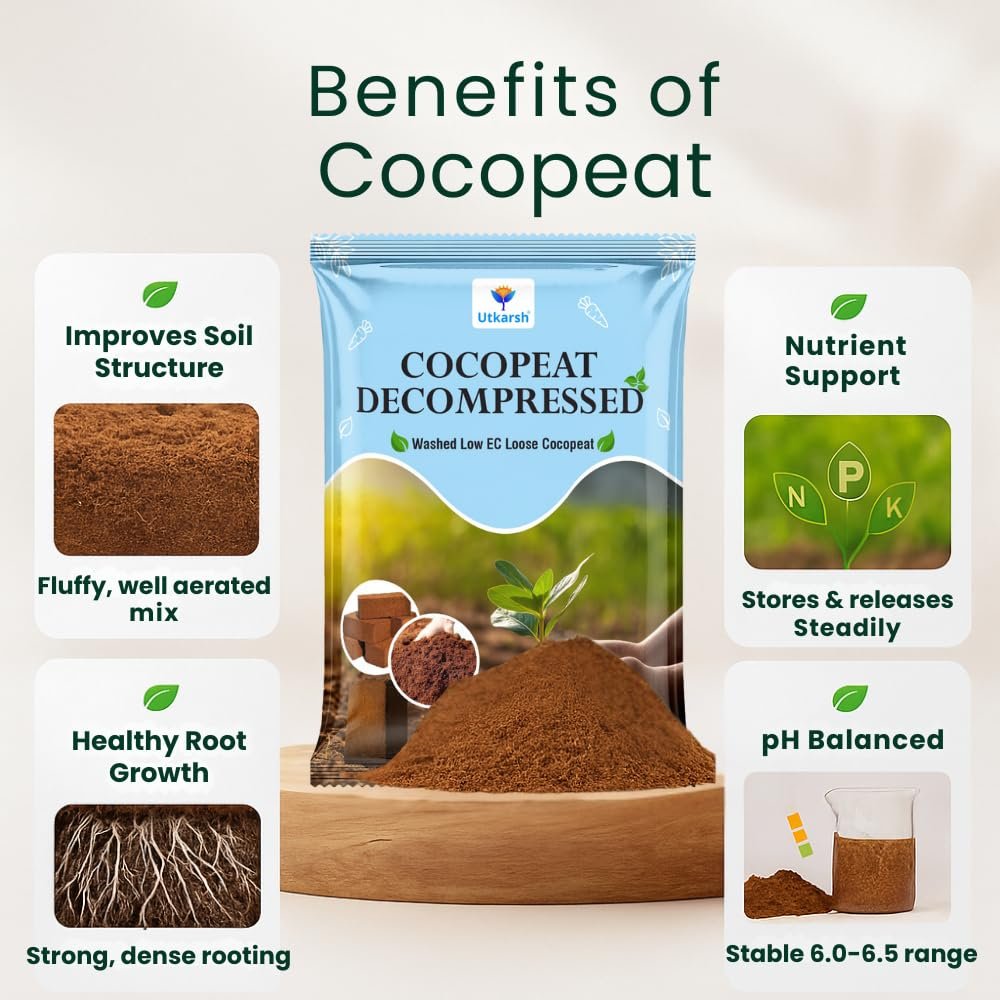 Decompressed Cocopeat Powder – 5 Kg, Ready-to-Use Kerala's Coconut Husk Fibre for Home Garden & Potted Plants, Coconut Coir for Potting Soil Mix, 100% Natural Soil Conditioner, High Water Retention - Image 3