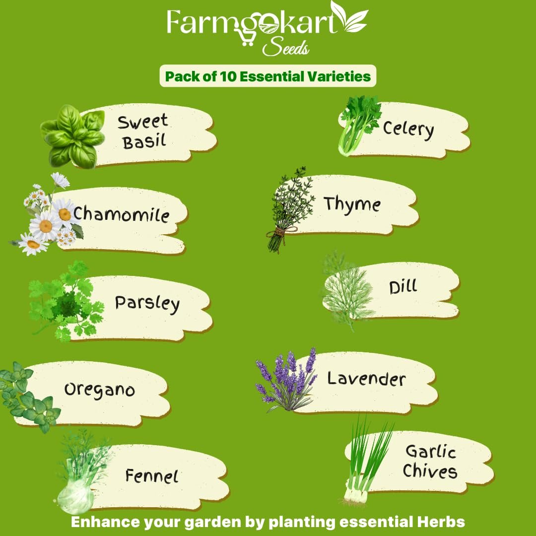 Farmgokart | Essentials Herb Growing Seeds - Pack of 10 Varieties | for Home Gardening | Grow your own Herbs - Image 3