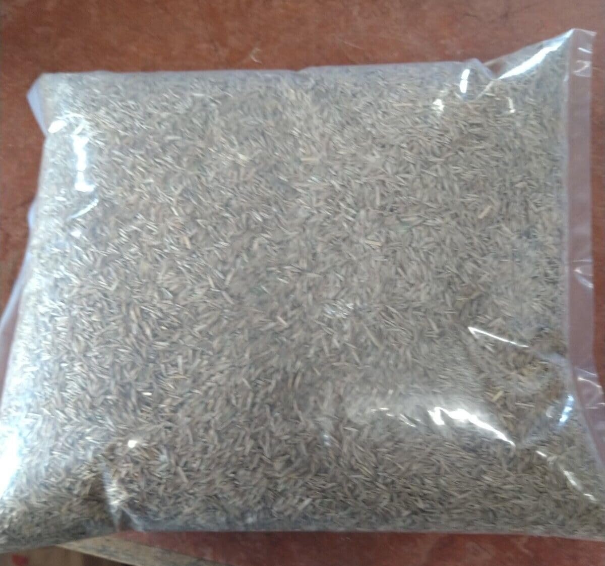 Bermuda Grass Seeds for Lawn – Fast Growing, Low Maintenance | 4500 seeds per pack