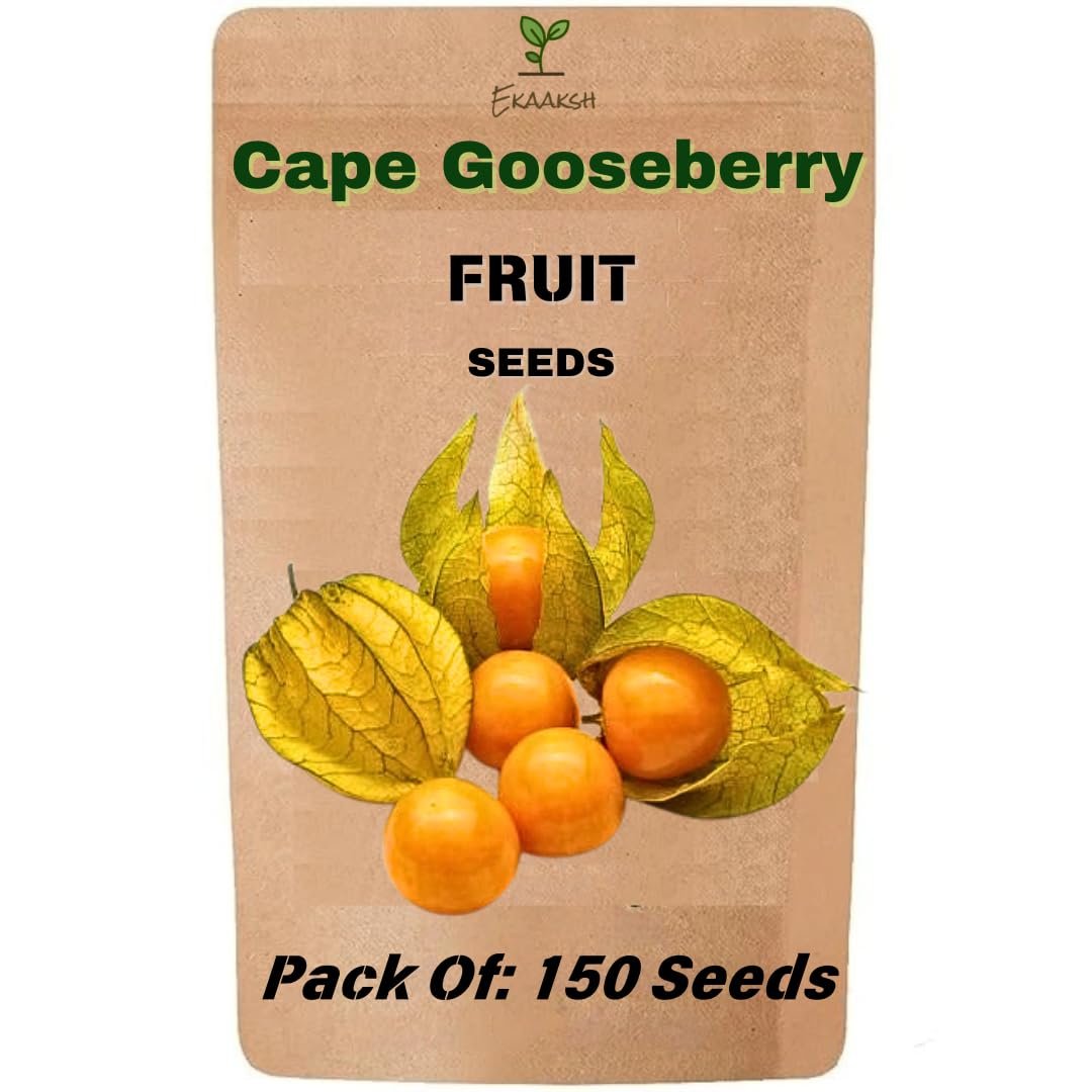 Ekaaksh - Cape Gooseberry/Rasbhari Fruit Seeds + Free Seed Germination Paper + Planting Guide - New Seeds with Test Result - Best for Pots, Terrace & Kitchen Gardening