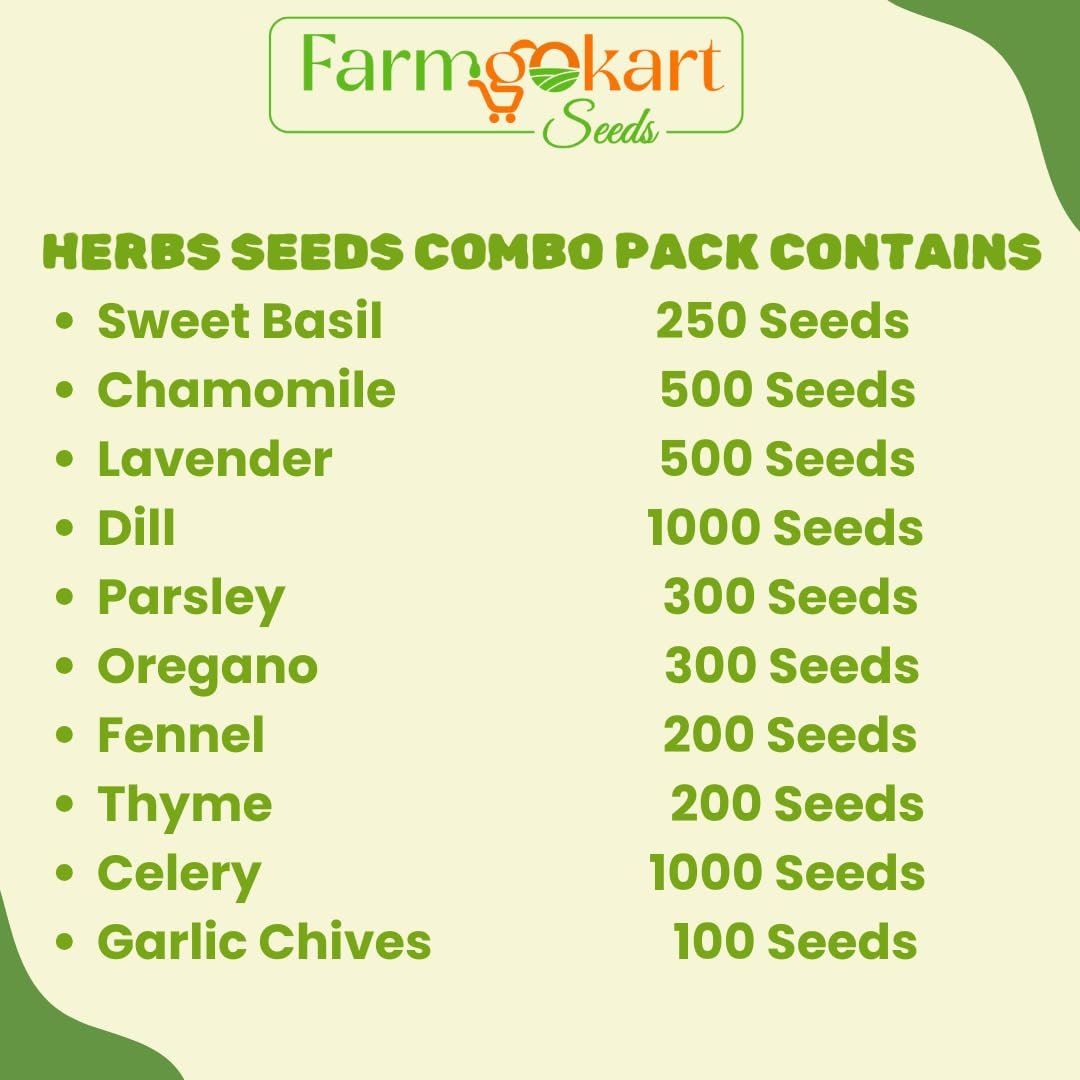 Farmgokart | Essentials Herb Growing Seeds - Pack of 10 Varieties | for Home Gardening | Grow your own Herbs - Image 4