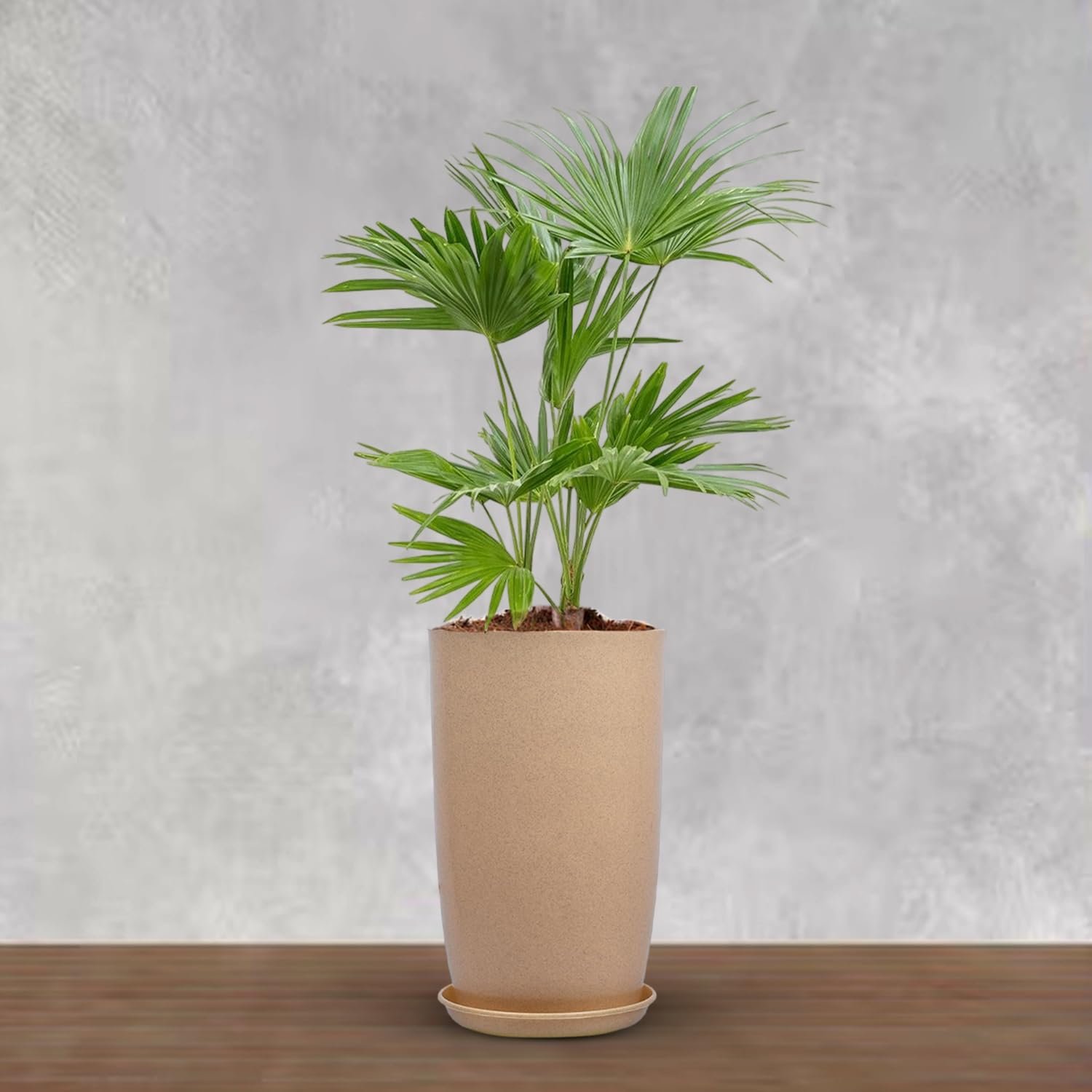 BonKaso 18 inch Beige Flower Pot – Tall, Durable & Lightweight Polymer Tower Planter for Indoor & Outdoor Use: Home, Office, Garden & Balcony (Gamla/Gamale)