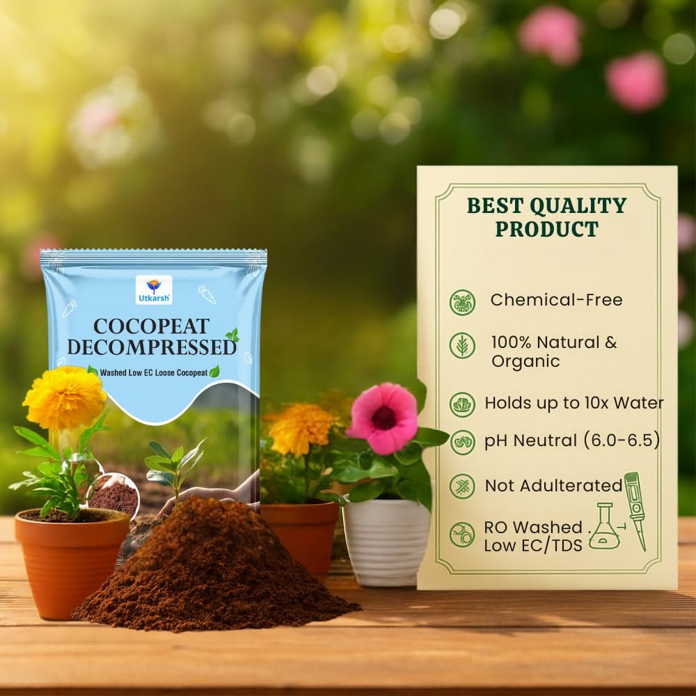 Decompressed Cocopeat Powder – 5 Kg, Ready-to-Use Kerala's Coconut Husk Fibre for Home Garden & Potted Plants, Coconut Coir for Potting Soil Mix, 100% Natural Soil Conditioner, High Water Retention - Image 5