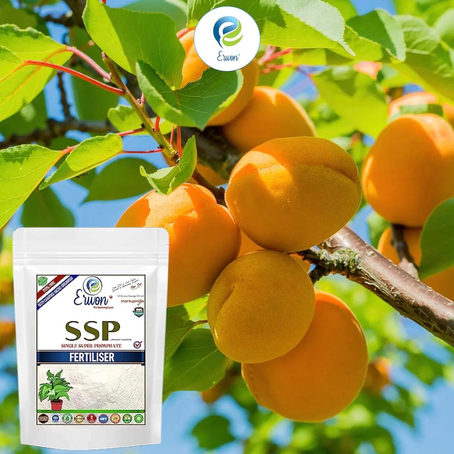 Single Super Phosphate Fertilizer, Pure, Premium Powerful Fertilizer For Overall Growth Of Plants (400 Gm), Powder - Image 6