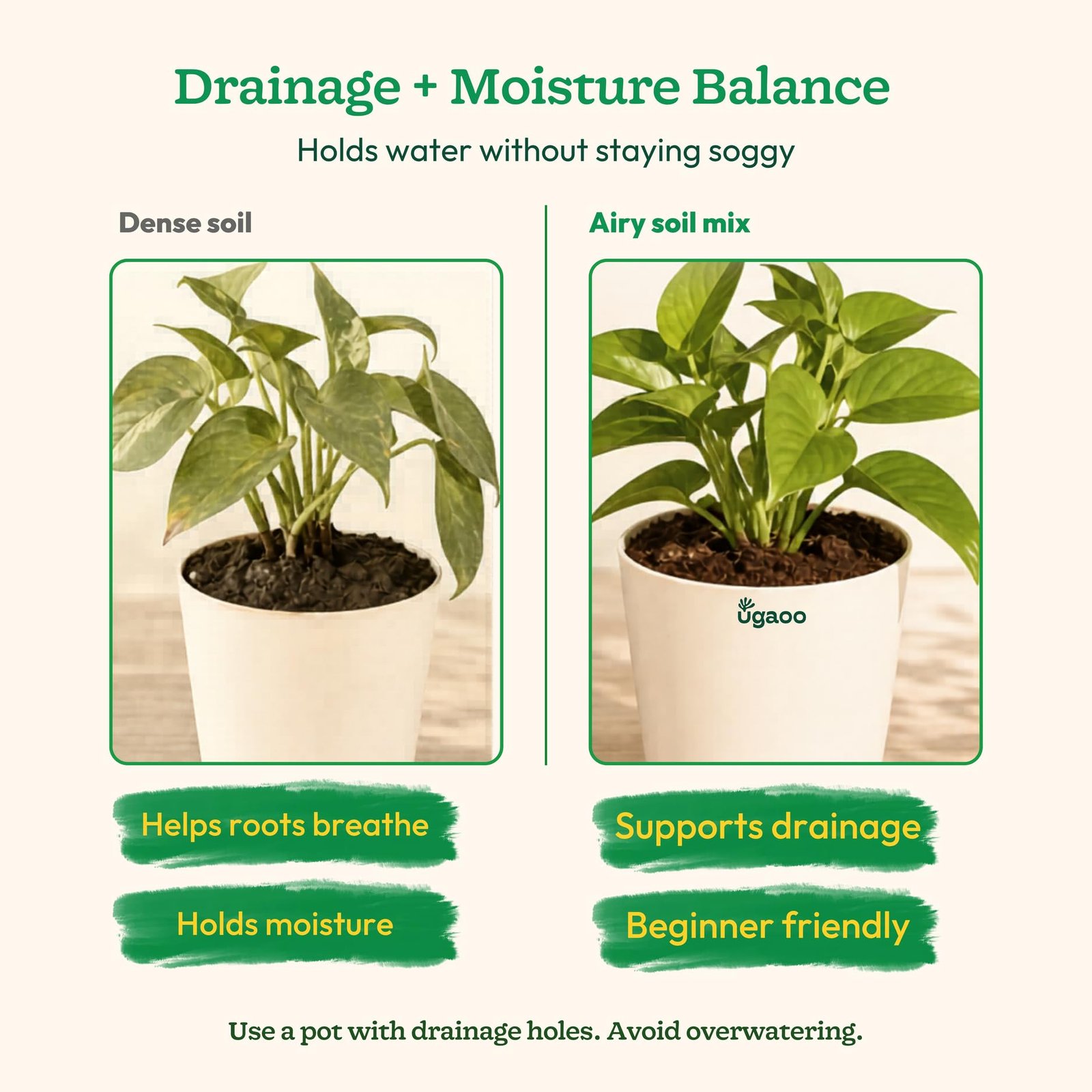 Ugaoo Ready-to-Use Potting Soil for Plants 5 Kg | Organic Potting Mix with Red Soil and Cow Manure for Indoor Outdoor and Flowering Plants | Ideal for Home Pots Balcony, Terrace & Repotting - Image 6