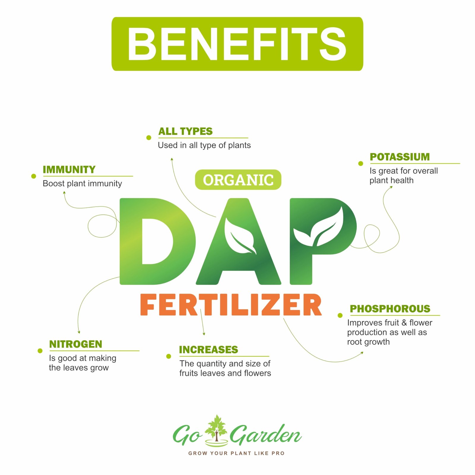 Go Garden Bio DAP Fertilizer for Plants | Organic DAP for Faster Growth, Flowering & Fruiting – Ideal for Home Garden, Indoor & Outdoor Plants 400 Gram Granules - Image 4