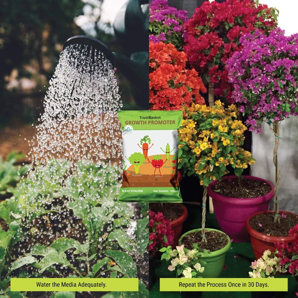 TrustBasket Plant growth promoter for gardening (Set of 1) 500 grams | Enhances growth and development of plants | useful for Indoor and outdoor plants | Contains essential Macro and Micro Nutrients - Image 5