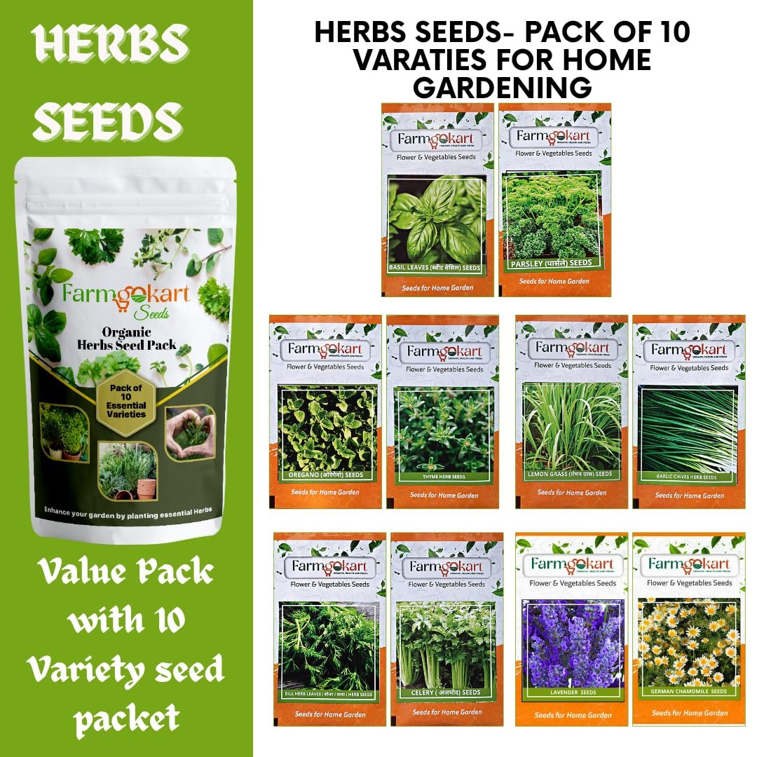 Farmgokart | Essentials Herb Growing Seeds - Pack of 10 Varieties | for Home Gardening | Grow your own Herbs - Image 2