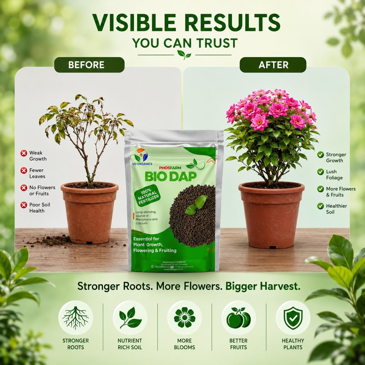 VD ORGANICS Bio Dap Organic Fertilizer for Plants 5kg, Granules | Organic Plant Food for Faster Root Growth, Healthy Flowering & Fruiting | Indoor & Outdoor Plants, Home Garden & Vegetable Plants - Image 7