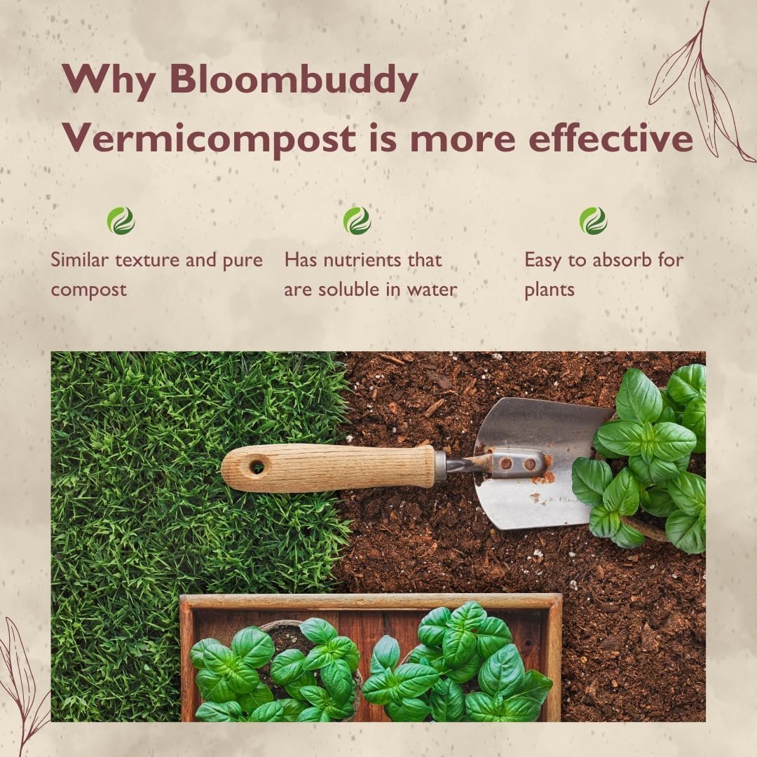 BLOOMBUDDY Organic Vermicompost – 5 kg | Plant Fertilizer & Compost for Plants | Natural Manure for Home Gardening | Vermi Compost for Plants, Indoor Pots & Home Garden Use - Image 4
