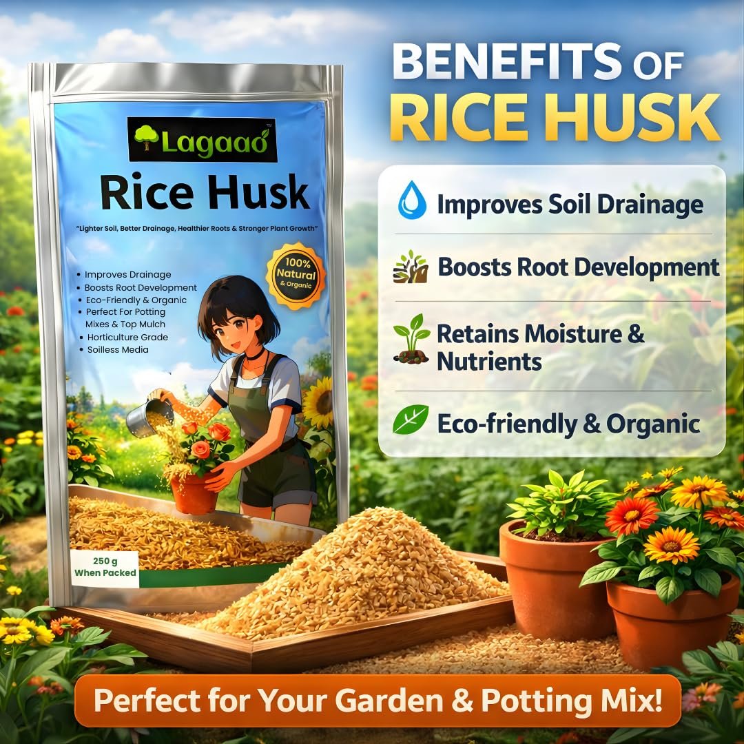 Rice Husk for Plants 250g | Improves Soil Drainage & Aeration | Natural Soil Conditioner for Pots, Grow Bags & Gardening - Image 2