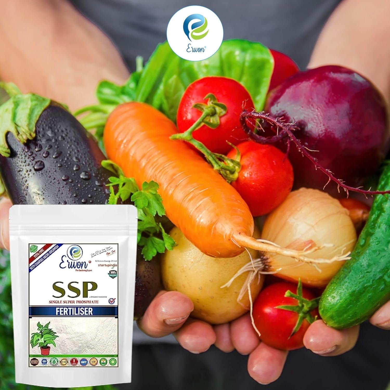 Single Super Phosphate Fertilizer, Pure, Premium Powerful Fertilizer For Overall Growth Of Plants (400 Gm), Powder - Image 4
