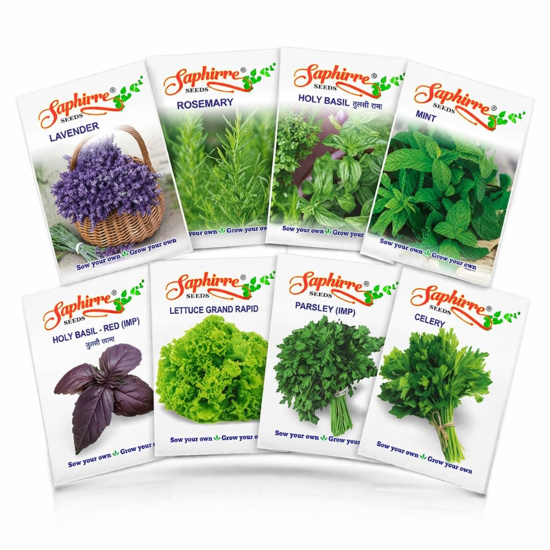 Saphirre Seeds Herb Seeds Combo Pack | 8 Varieties | 950+ Seeds | Rosemary, Mint, Lavender, Tulsi, Red Basil, Parsley, Celery & Lettuce | High Germination | Easy to Grow for Home Gardening