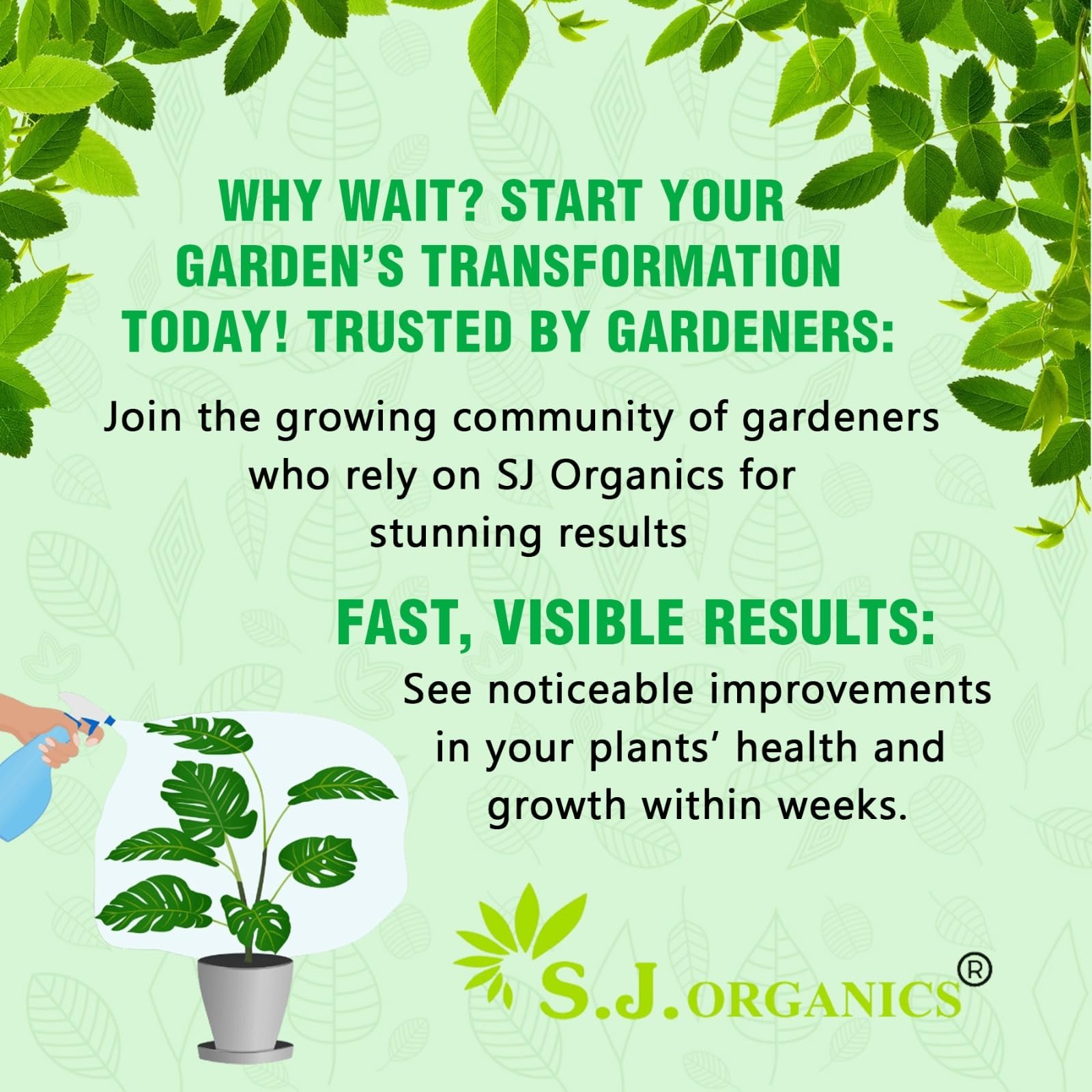 SJ Organics Seaweed Extract 900ml Organic Liquid Fertilizer with Measuring Cap for Home Gardening | Seaweed Liquid Fertilizer for Plant | Sea Weed Fertilizer - Image 6
