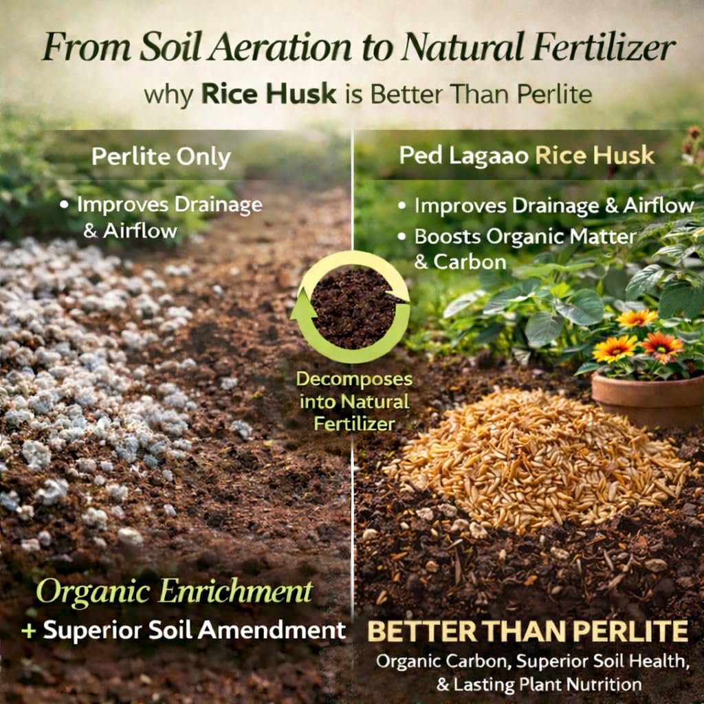 Rice Husk for Plants 250g | Improves Soil Drainage & Aeration | Natural Soil Conditioner for Pots, Grow Bags & Gardening - Image 5