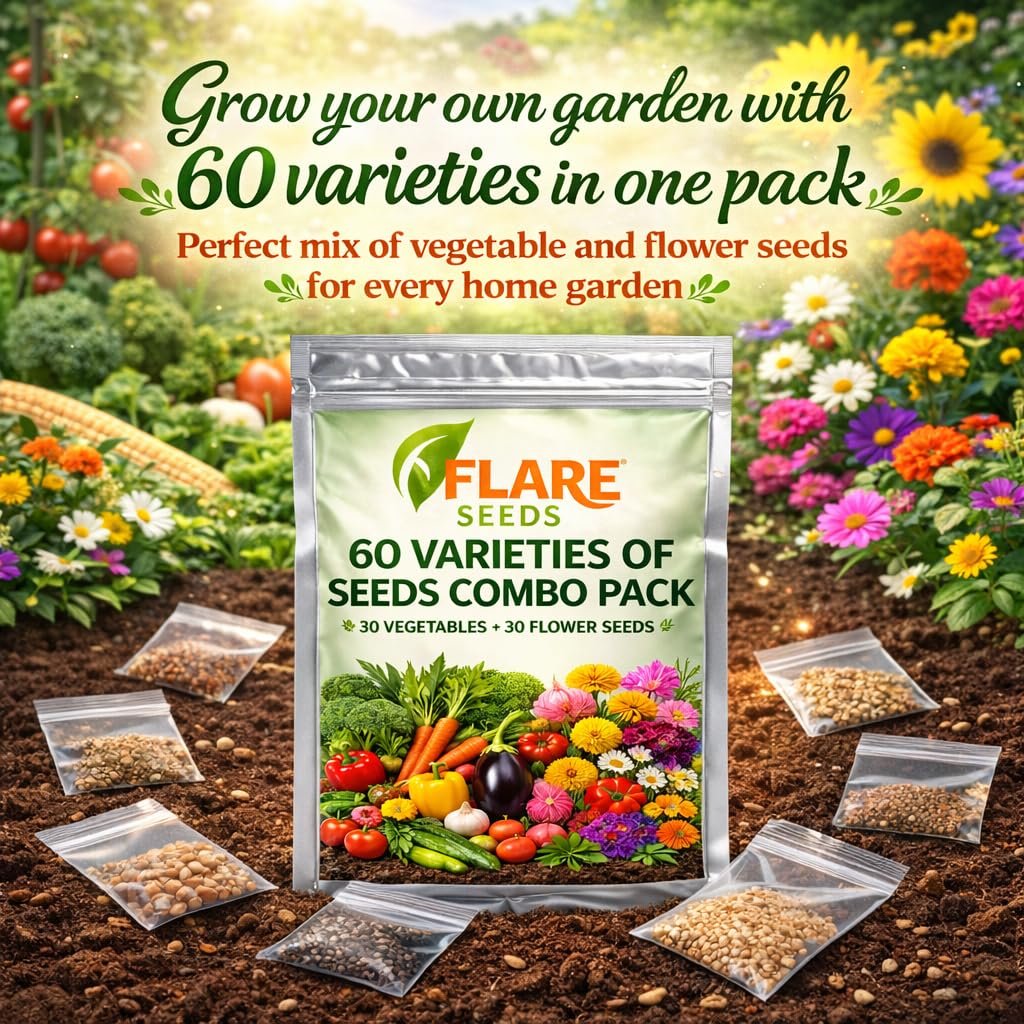 Flare Seeds 60 Varieties Seeds Combo Pack, 30 Vegetable and 30 Flower Seeds, High Germination Rate, All Seasons - Image 3