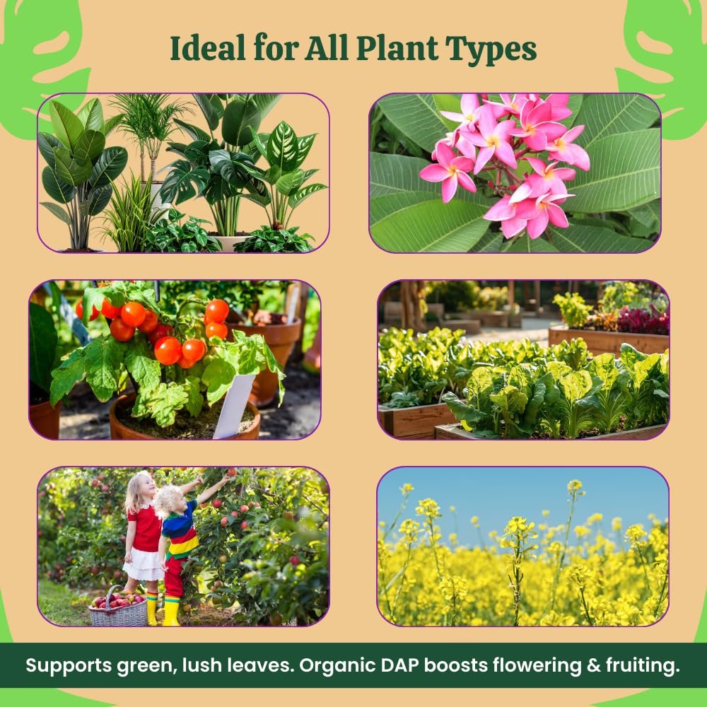 Utkarsh Organic DAP Fertilizer for Plants, Home & Garden - 900 gm Granules, 100% Water Soluble, Bio DAP Fertilizers & Manure for Plants Growth | Improves Flowering, Fruiting & Vegetables; Pack of 1 - Image 7