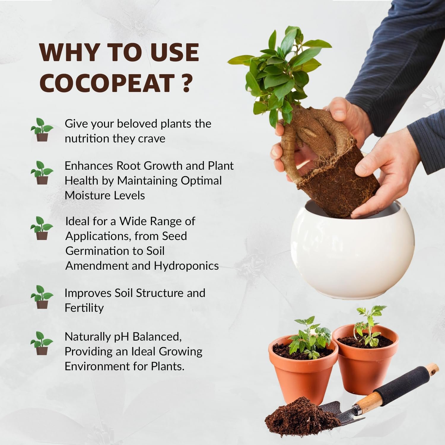 TrustBasket Premium Decompressed Cocopeat Powder 5KG – Ready-to-Use, Kerala's Coconut Husk Powder Coconut Coir Soil Conditioner for Potting, Indoor/Outdoor Gardens – 100% Natural, High Water Retention - Image 6