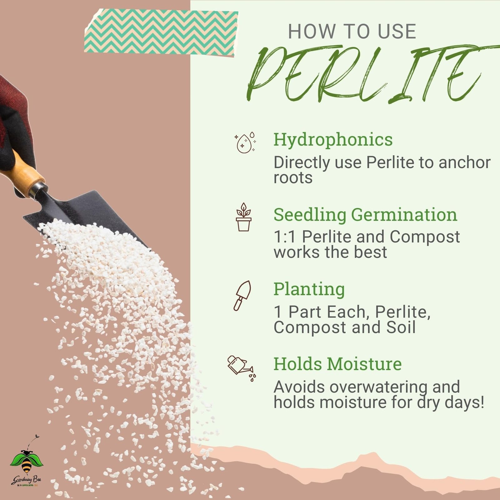 Gardening Bee Perlite for Plants (1KG), Hydroponics & Horticulture Terrace Gardening, Essential Soil Conditioner, for Indoor, Outdoor Plants (1 Kilogram) - Image 5