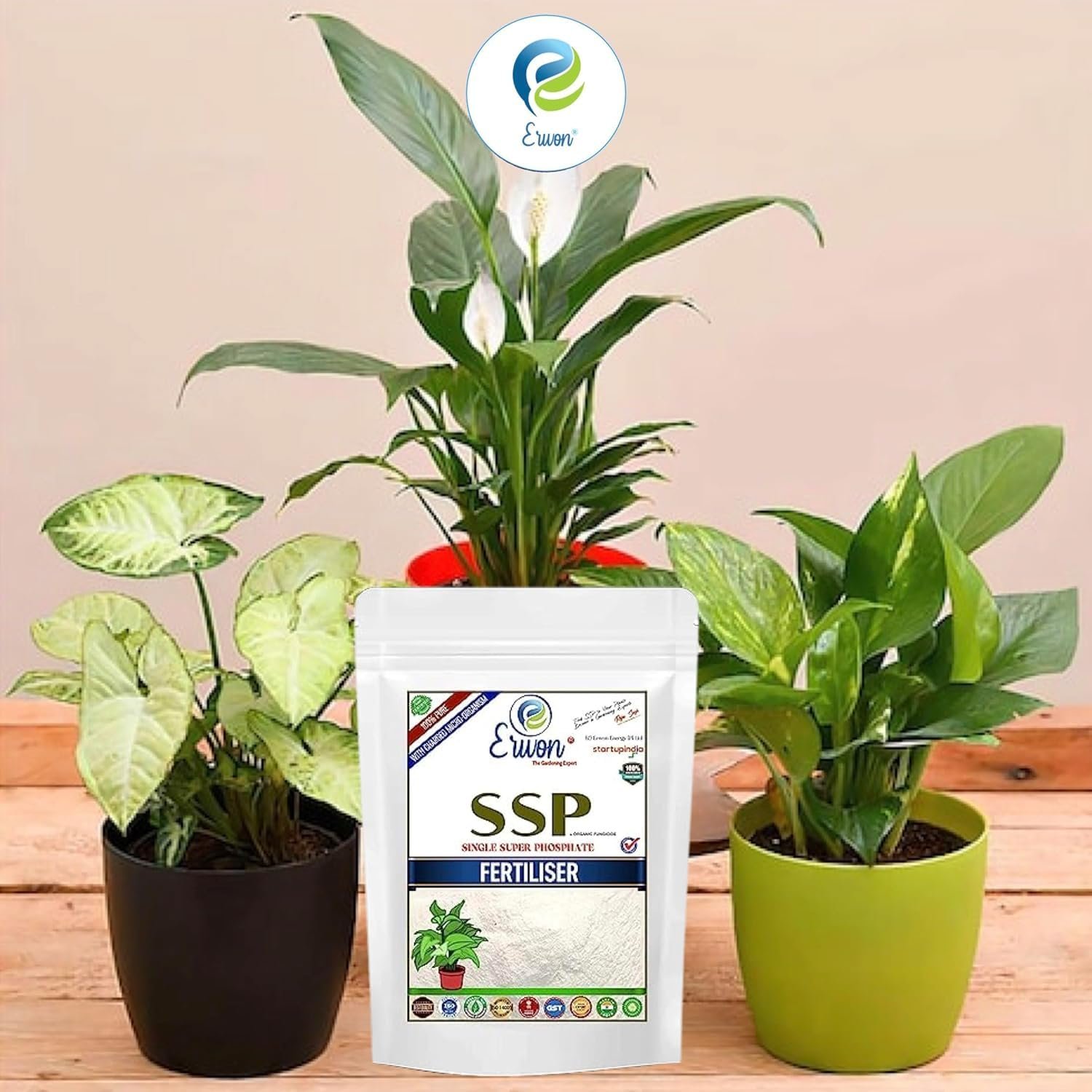 Single Super Phosphate Fertilizer, Pure, Premium Powerful Fertilizer For Overall Growth Of Plants (400 Gm), Powder - Image 5