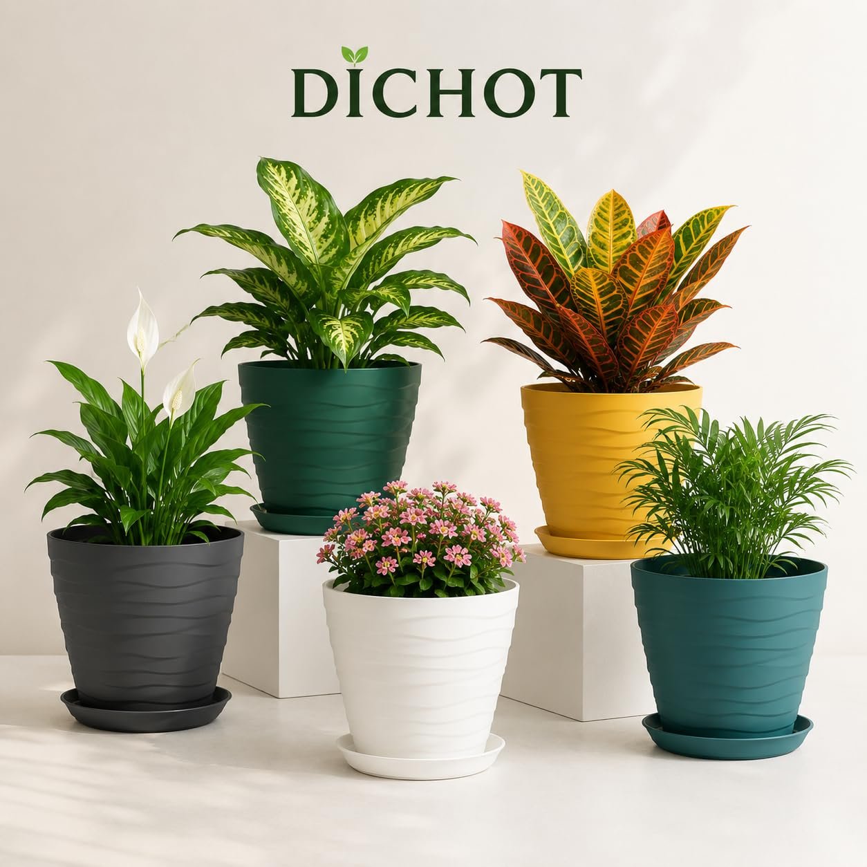 DICHOT Plastic 9 inch Plant Pots with Drainage Holes and Tray Saucers | Flower Pots for Home Balcony and Garden | Planters with Bottom Trays | Ideal for Indoor and Outdoor Use, Pack of 5 (Multi) - Image 5