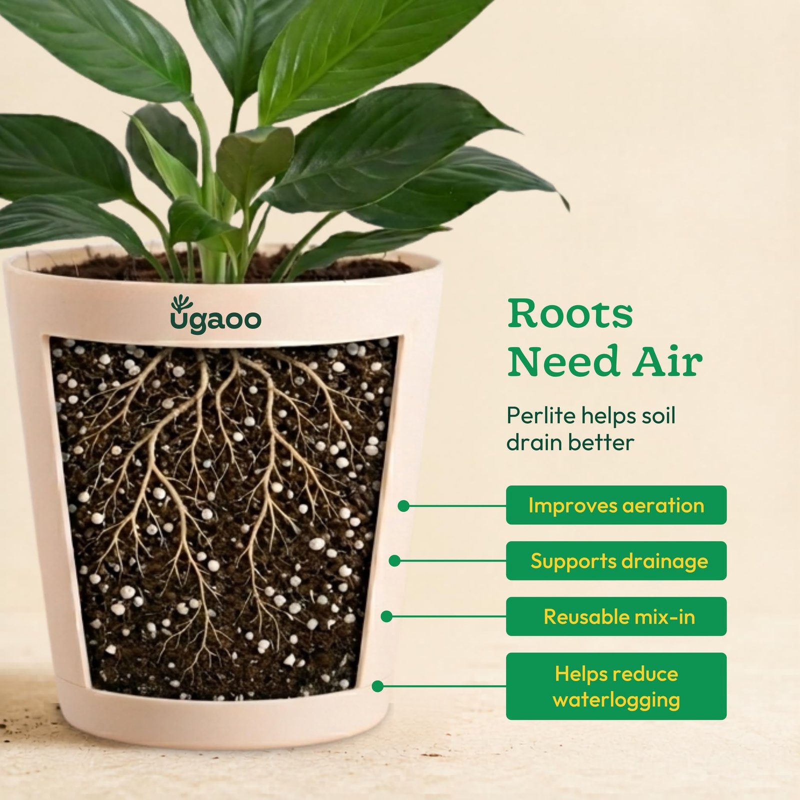 Ugaoo Perlite for Plants 500g | Horticulture Grade Potting Soil Mix Additive for Aeration & Drainage | Lightweight pH Neutral Growing Medium for Succulents, Cactus, Hydroponics & Seed Starting - Image 2
