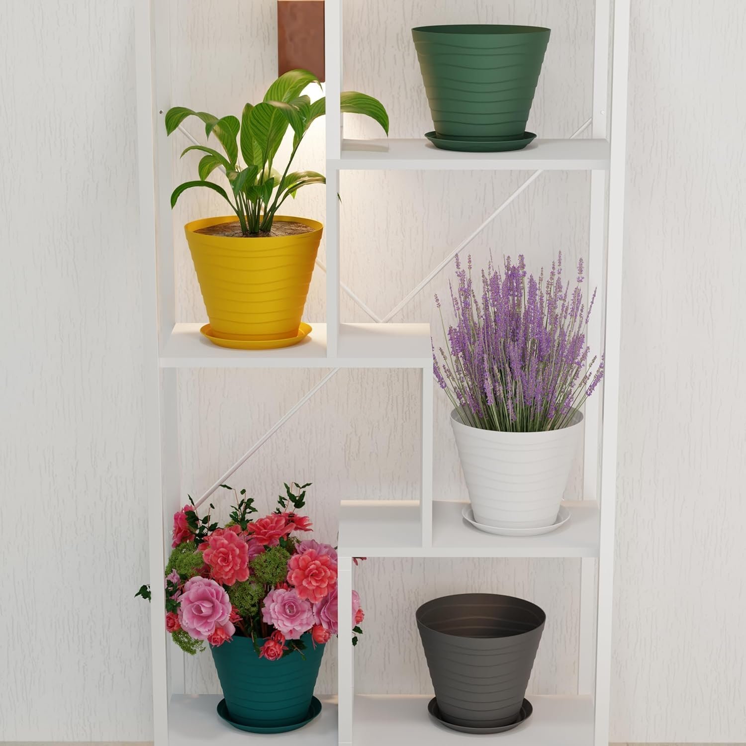DICHOT Plastic 9 inch Plant Pots with Drainage Holes and Tray Saucers | Flower Pots for Home Balcony and Garden | Planters with Bottom Trays | Ideal for Indoor and Outdoor Use, Pack of 5 (Multi) - Image 7