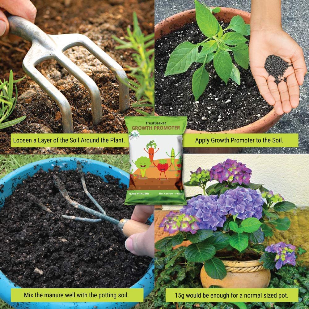 TrustBasket Plant growth promoter for gardening (Set of 1) 500 grams | Enhances growth and development of plants | useful for Indoor and outdoor plants | Contains essential Macro and Micro Nutrients - Image 4