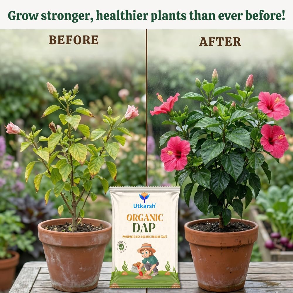 Utkarsh Organic DAP Fertilizer for Plants, Home & Garden - 900 gm Granules, 100% Water Soluble, Bio DAP Fertilizers & Manure for Plants Growth | Improves Flowering, Fruiting & Vegetables; Pack of 1 - Image 8