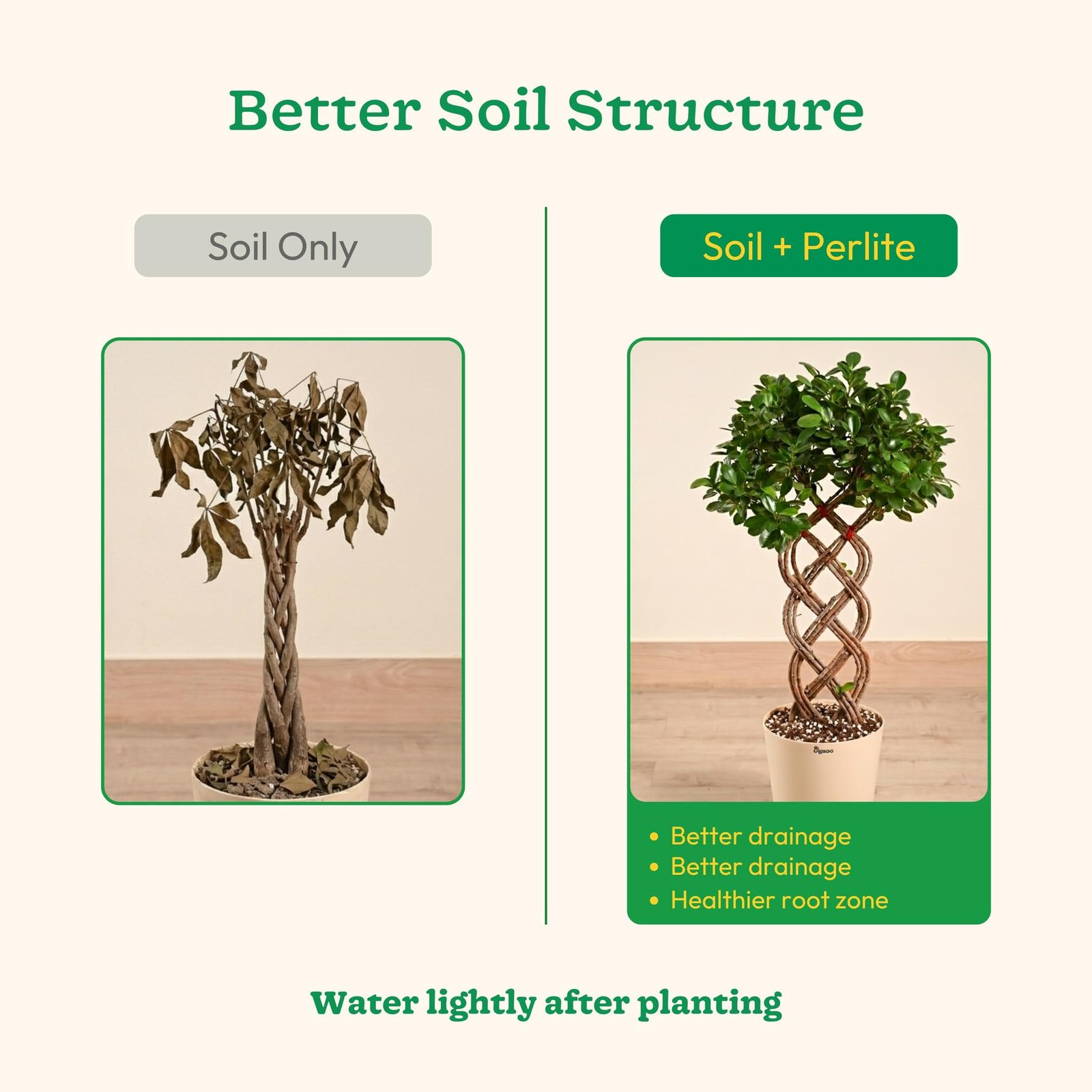 Ugaoo Perlite for Plants 500g | Horticulture Grade Potting Soil Mix Additive for Aeration & Drainage | Lightweight pH Neutral Growing Medium for Succulents, Cactus, Hydroponics & Seed Starting - Image 5