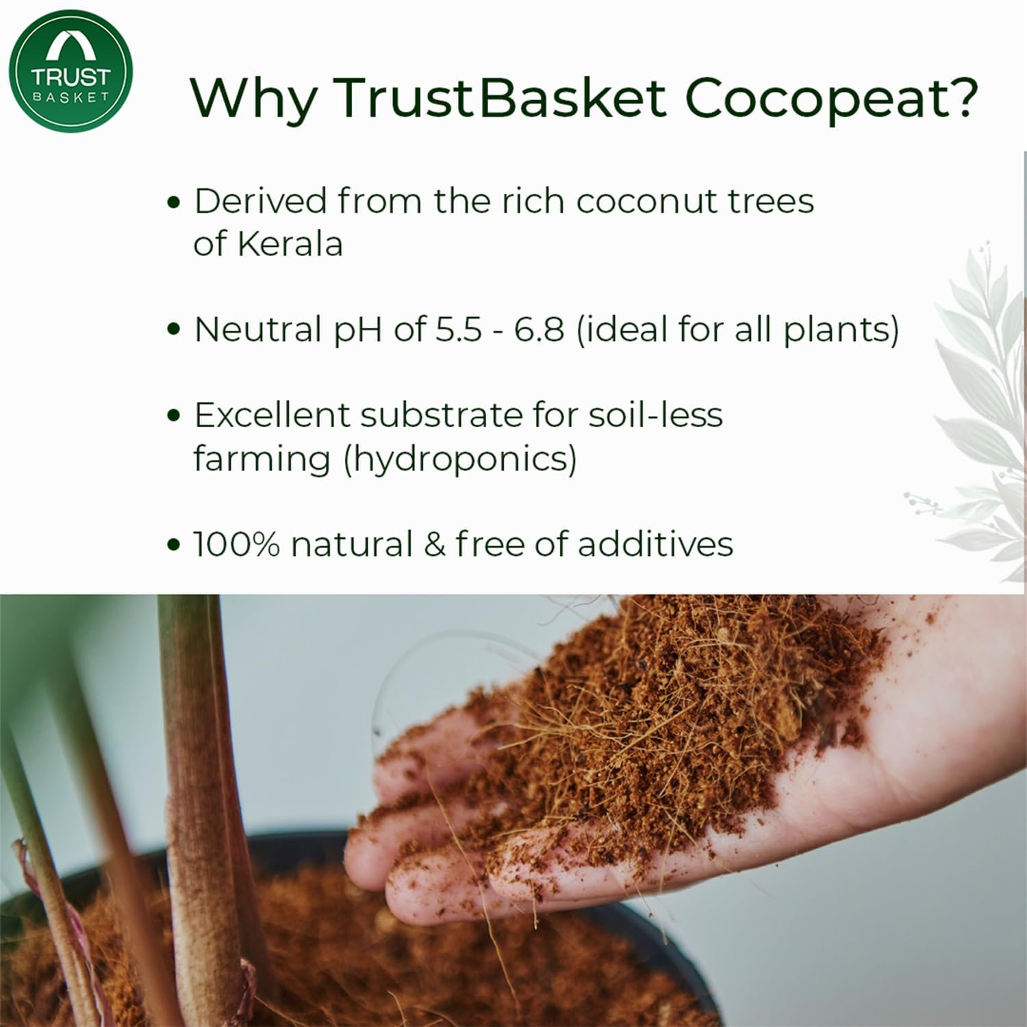 TrustBasket Cocopeat 15 kg Block (Set of 3-5kg Each) | Expands Upto 75 litres of Powder | Garden Soil | Hydroponic Plants, Kitchen Gardening and Terrace Gardening, Indoor Plants and Outdoor Plants - Image 4