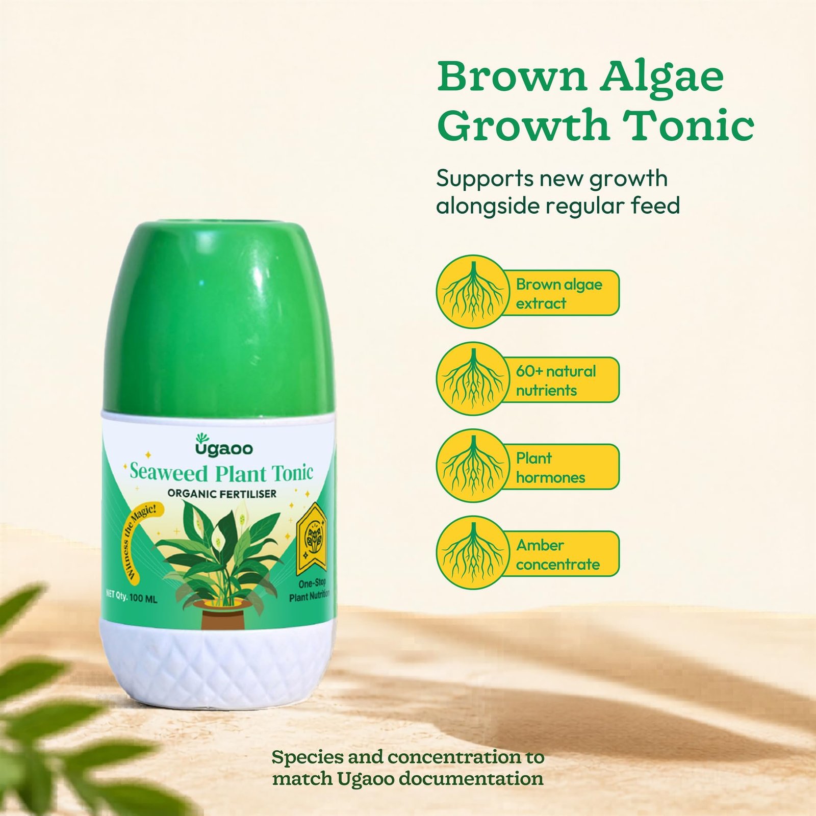 UGAOO Liquid Seaweed Fertilizer Concentrate for Plant - Growth Booster & Plants Tonic (250 ml) - Image 2