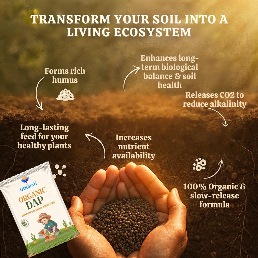 Utkarsh Organic DAP Fertilizer for Plants, Home & Garden - 900 gm Granules, 100% Water Soluble, Bio DAP Fertilizers & Manure for Plants Growth | Improves Flowering, Fruiting & Vegetables; Pack of 1 - Image 3