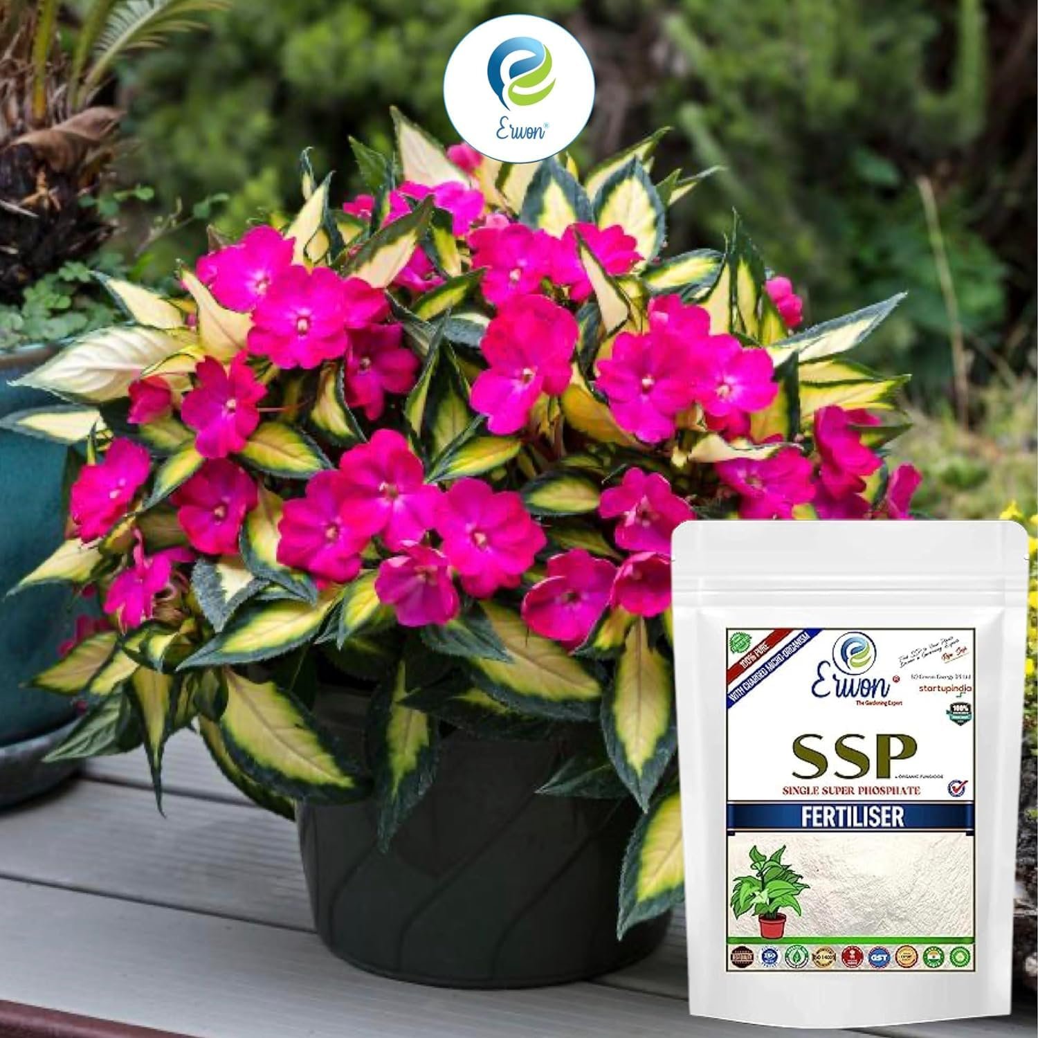 Single Super Phosphate Fertilizer, Pure, Premium Powerful Fertilizer For Overall Growth Of Plants (400 Gm), Powder - Image 3