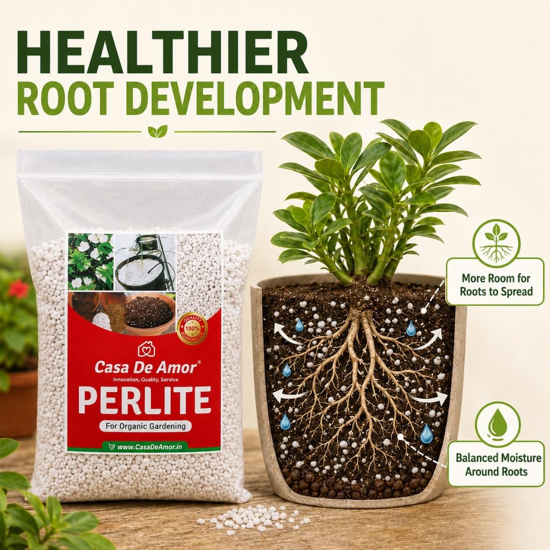 Casa De Amor Perlite for Hydroponics & Horticulture, 500 Gram - Image 6