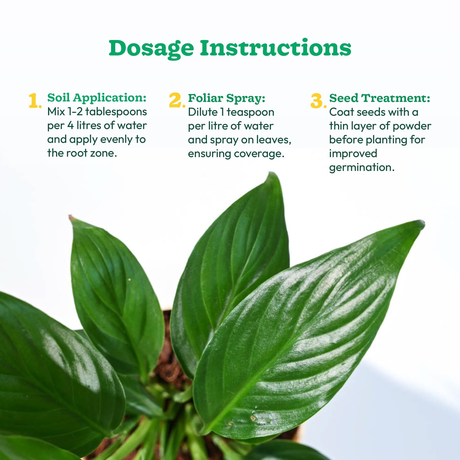 UGAOO Humic Acid (98%) for Plants | Humic Acid Fertilizer for Plants, Home Garden, Growth Enhancer, Soil Conditioner, Improves Root System (250 gm)
