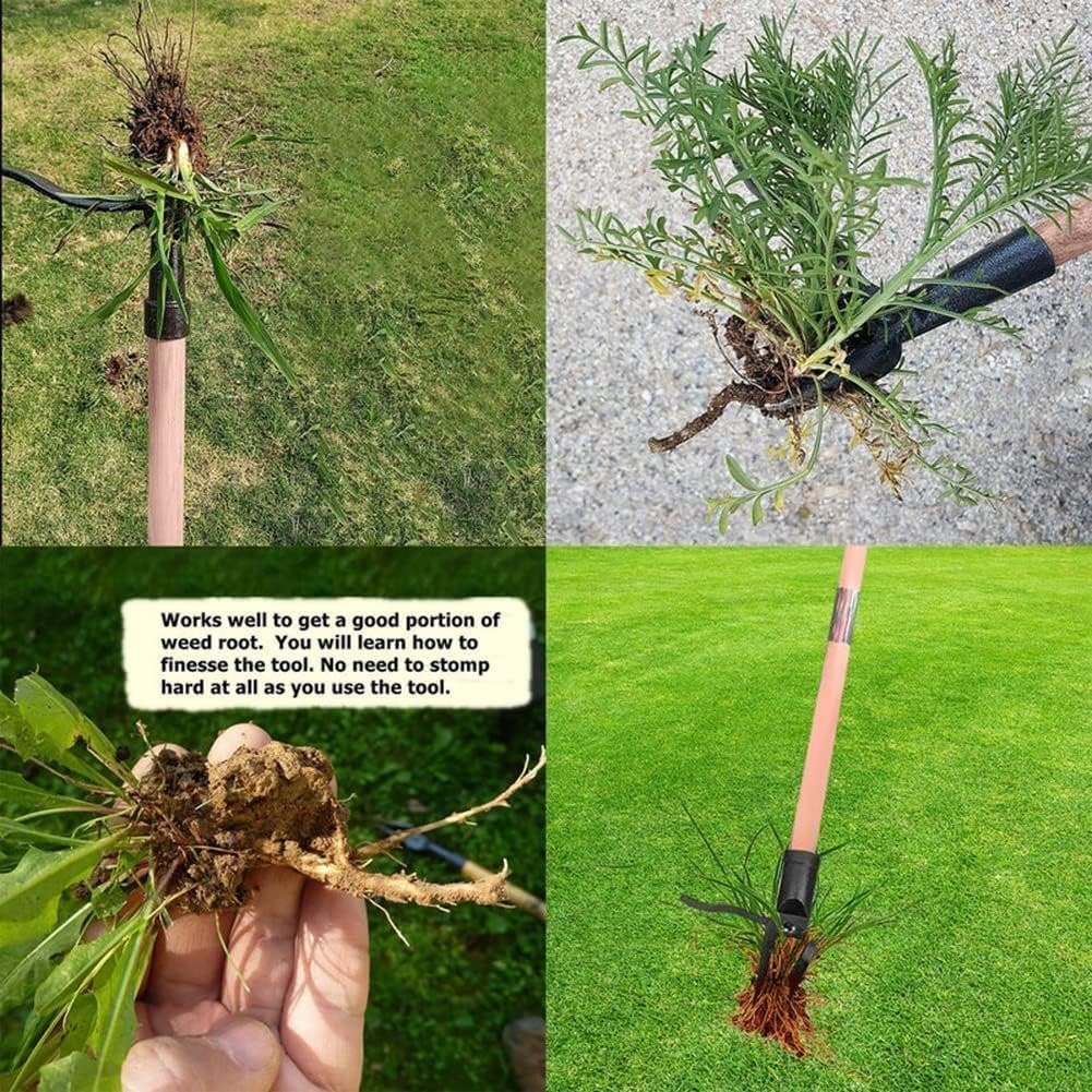 Adjustable Long Handle Weed Removal Tool Handle Only, Stainless Steel Stand Up Weed Puller, Manual Weed Picker Tool for Garden Lawn, Remove Weeds Without Bending or Kneeling - Image 5