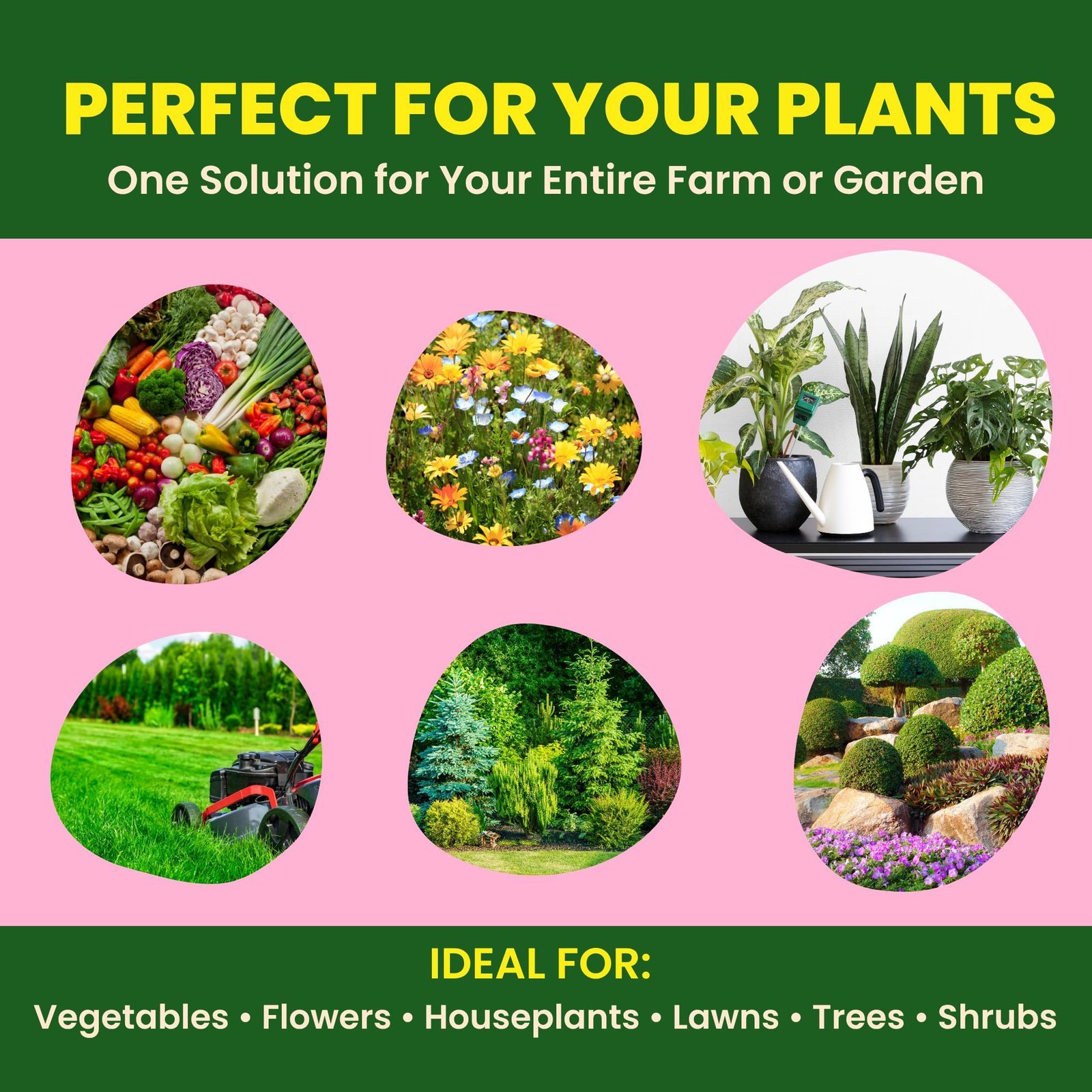 Utkarsh Calcium Nitrate Fertilizer for Plants Home Garden | 100% Water Soluble Foliar Spray Nutrition, Promotes & Boosts Healthy Flower and Fruit Growth (900 gm; Pack of 1) - Image 3